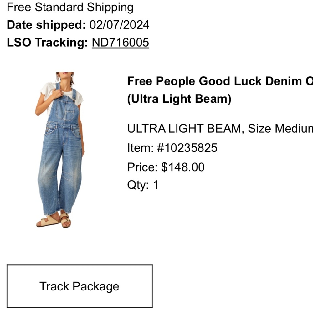 Free People Ultra Light Beam Good Luck Denim Overalls